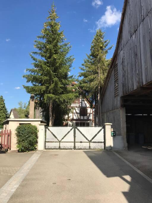 Paisible Logement Tout Equipe Pour 1 A 6 Personnes Ebersheim 외부 사진